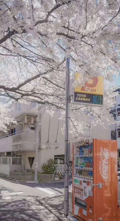 日本按摩足疗社定向留学——高端就业