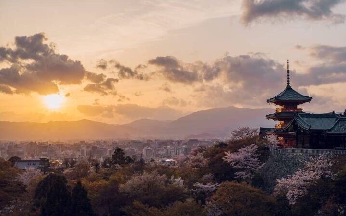 日本定向留学，按摩足疗社高端就业