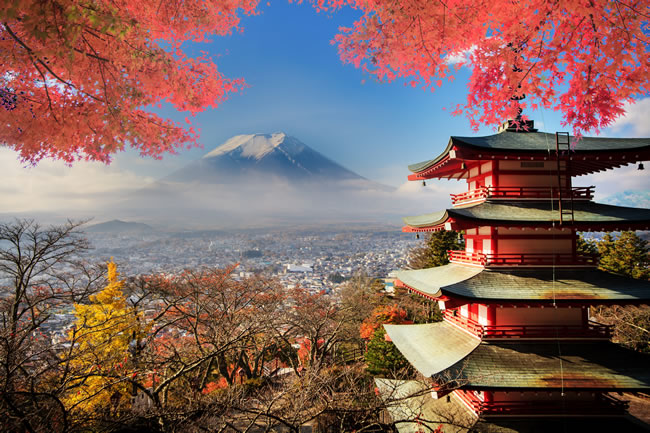 日本高端人文签证，温泉酒店，收入可观环境好！