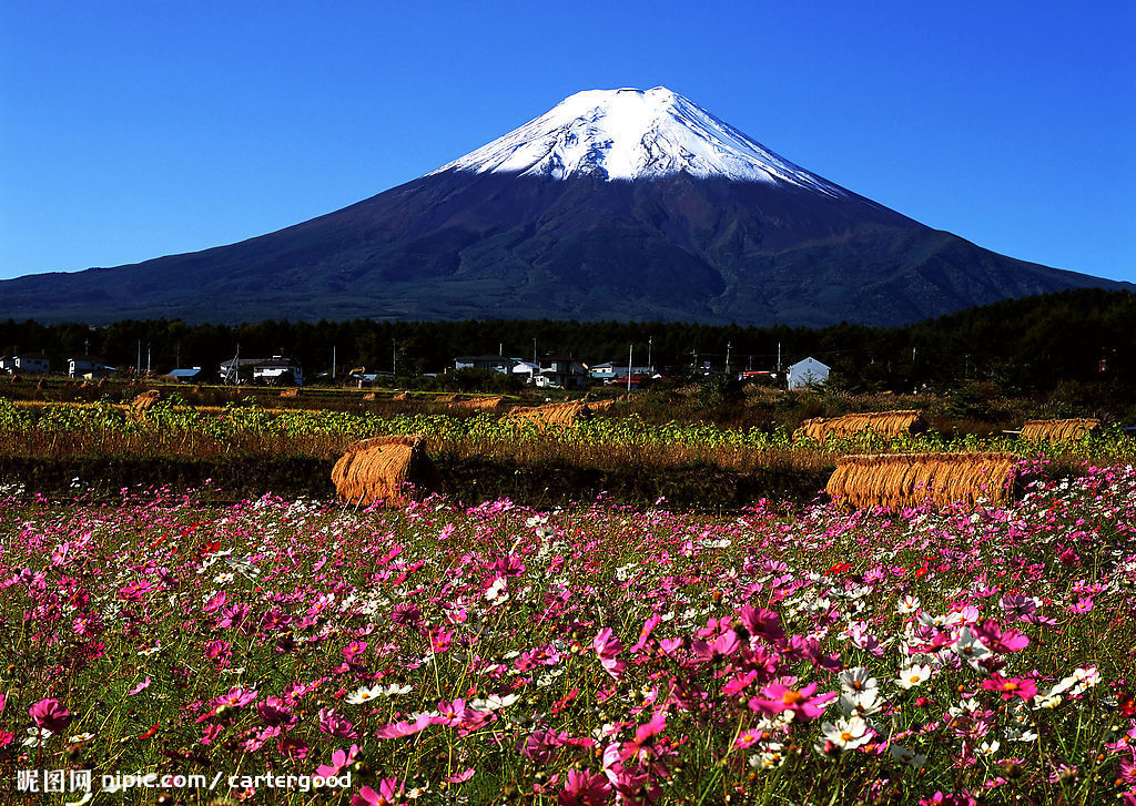 日本塑料成型女工！！时薪1000日元！！！急招！