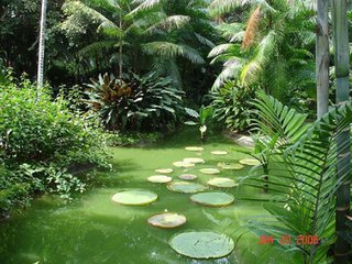 新加坡服务员维修工等多工种招聘！